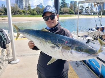 Snapper and kingfish 