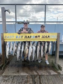 Salmon are still ripping!