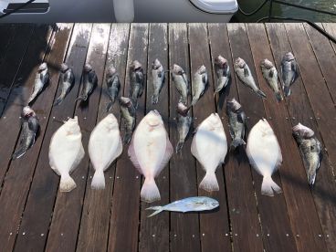 Mixed bag the past few trips