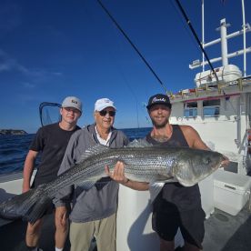 Narragansett Report Photo 2