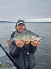 Great Perch fishing in Lake Mälaren 