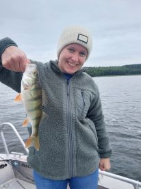 Stockholm Archipelago Report Photo 2