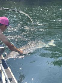 Great Summer King fishing with Sturgeon 