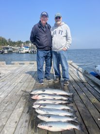 Nice king salmon 30 pounds