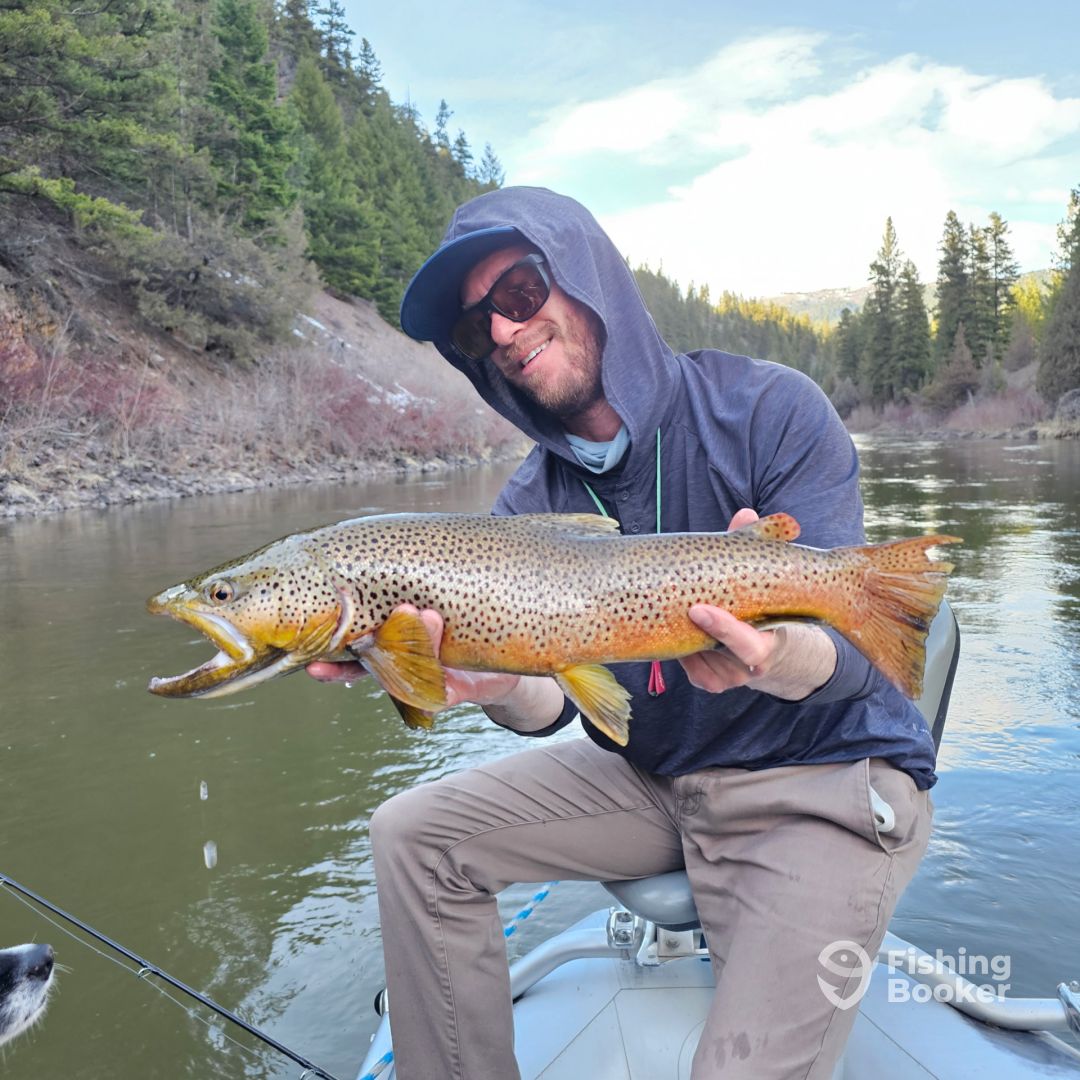 Emigrant Report Photo 0