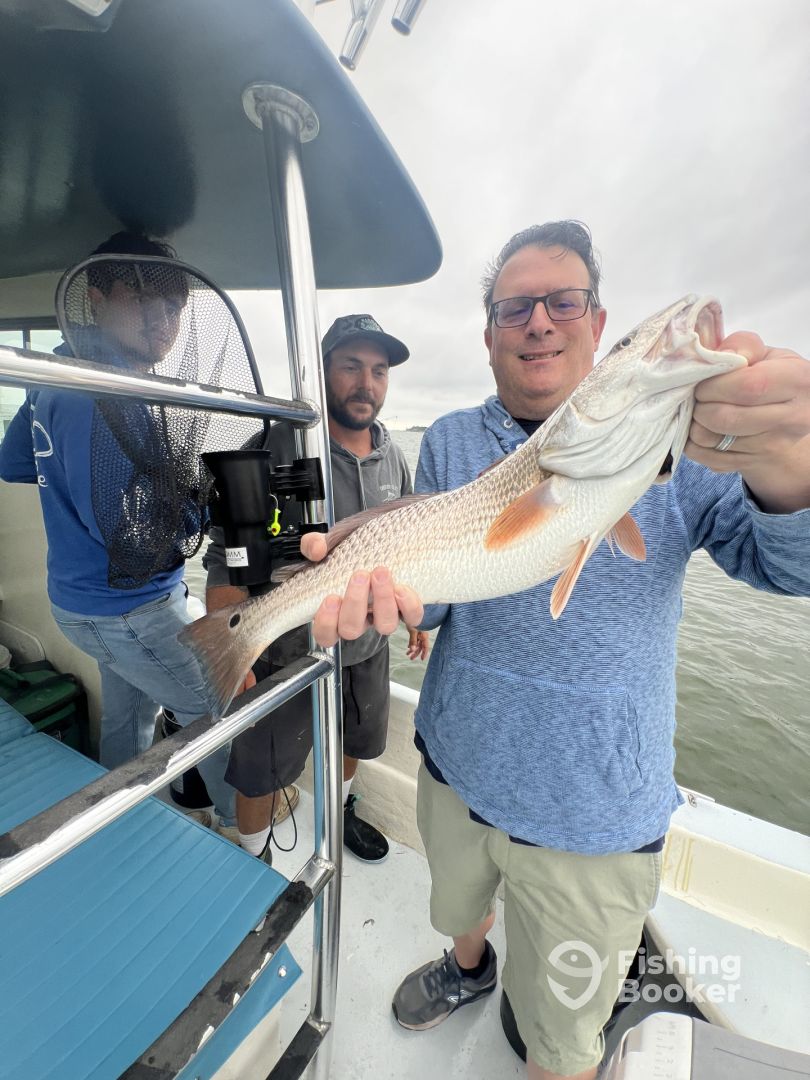 Seaford Report Photo 0