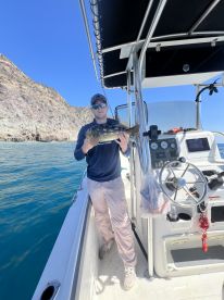 Alamitos Bay Report Photo 3