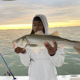 Rockfish after the rain.