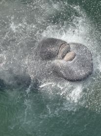 Port Canaveral Report Photo 2