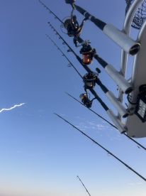 Port Canaveral Report Photo 1