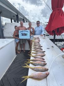 Yellow tail for dinner ?️