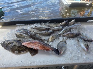 Homosassa Report Photo 2