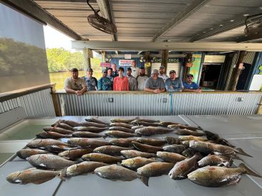 Redfish mania