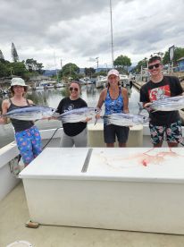 Skip jacks are biting like crazy!