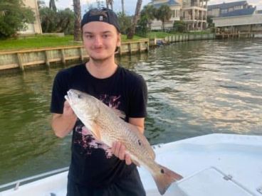 Houston Report Photo 2