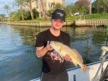 Houston Report Photo 1