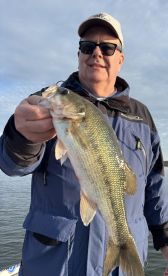 Branson Report Photo 1