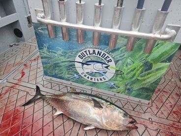 Sekiu Report Photo 2