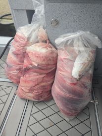 Sekiu Report Photo 3