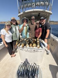 Wide open fishing over 200 fish caught 