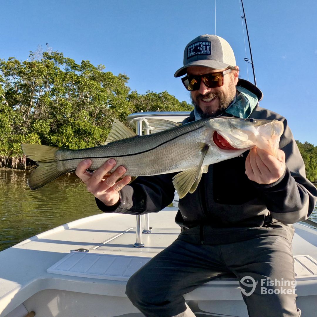 Clearwater Report Photo 0