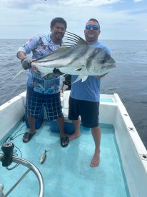 El dia de los gallos 