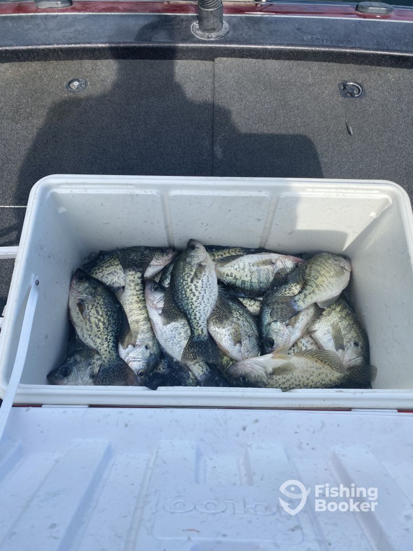 Glasgow Report Photo 0