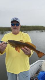 Pensacola Report Photo 1