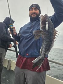 Little Compton Report Photo 1