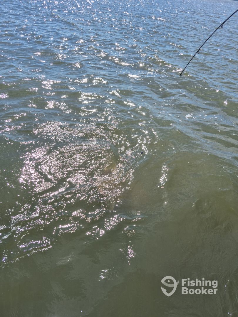 Hilton Head Island Report Photo 0