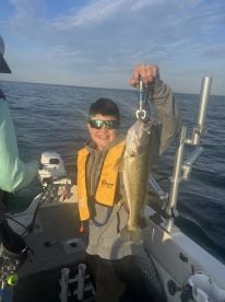 Walleye ,Walleye everywhere! 