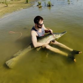 Amazing Half day Trip