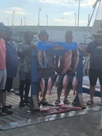 Panama City Beach Report Photo 1