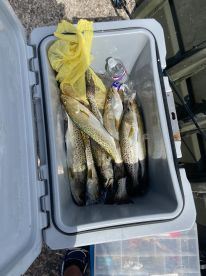 Steinhatchee Report Photo 2