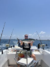 Yellow fin Tuna