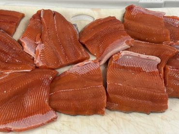 Kenai Report Photo 1