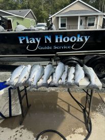 Garibaldi Report Photo 2