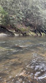 FlyFishing  Experience 