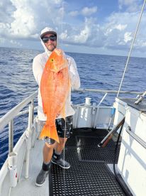 Dania Beach Report Photo 2