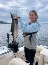 September hatchery Coho Salmon