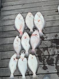 Cape May County Report Photo 4