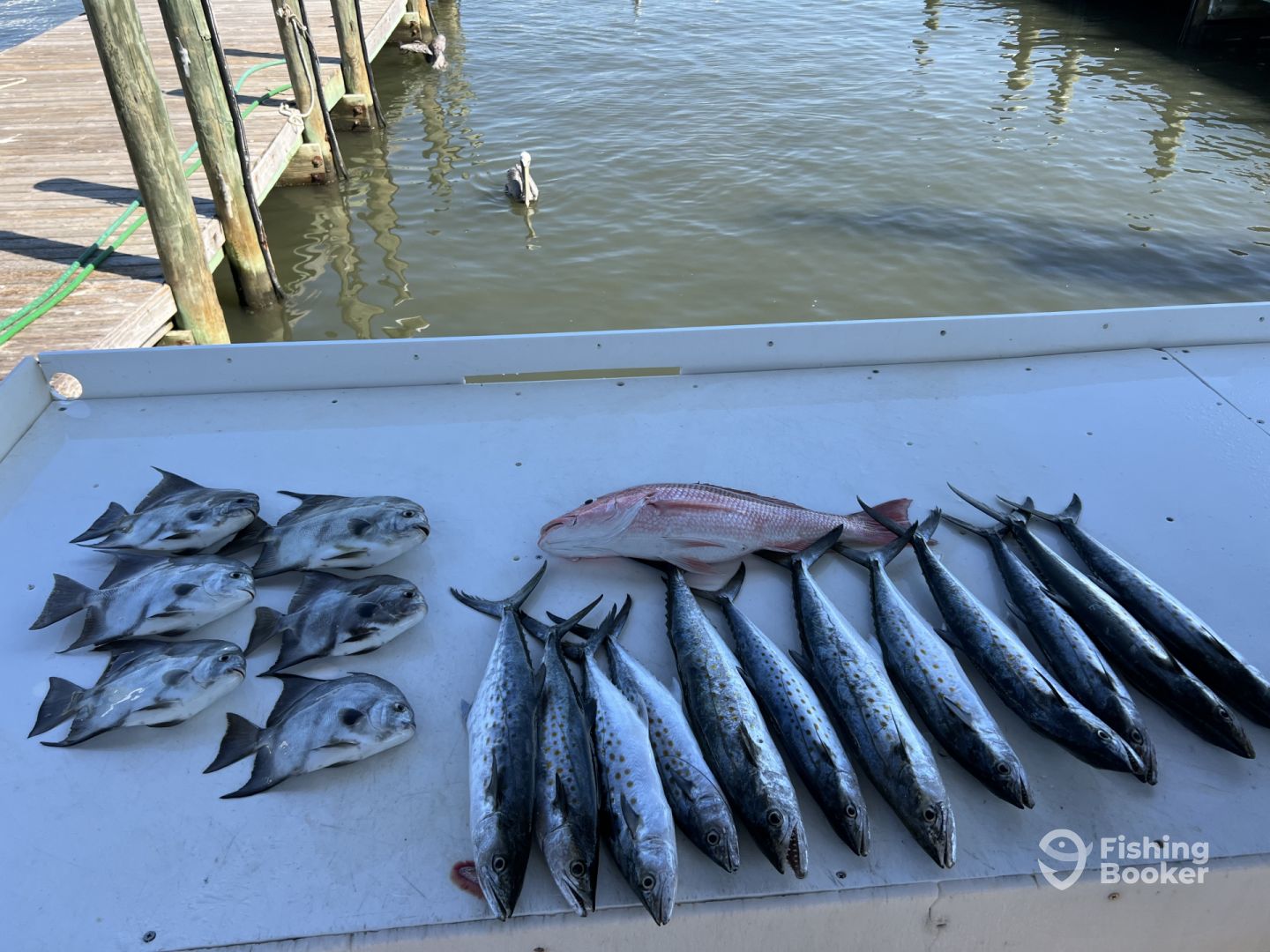 Fort Morgan Report Photo 0