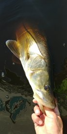 Port Orange Report Photo 1