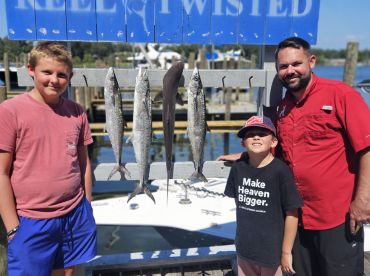 Quick trolling and sharks