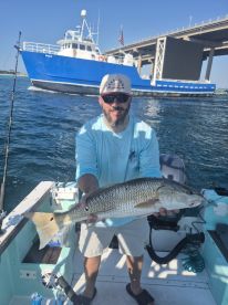 Amberjacks, snappers and red fish!