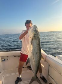 Amberjack season !