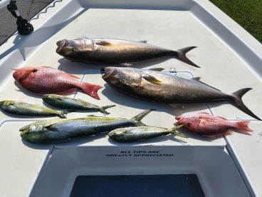 Redsnapper fall season every Friday Satu