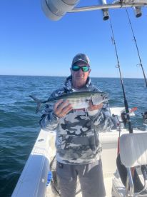 Great Bonito fishing