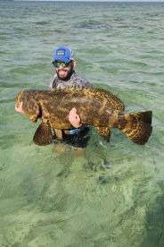 150lb Goliath grouper 