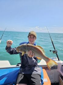 Coral Trout and Emperor 